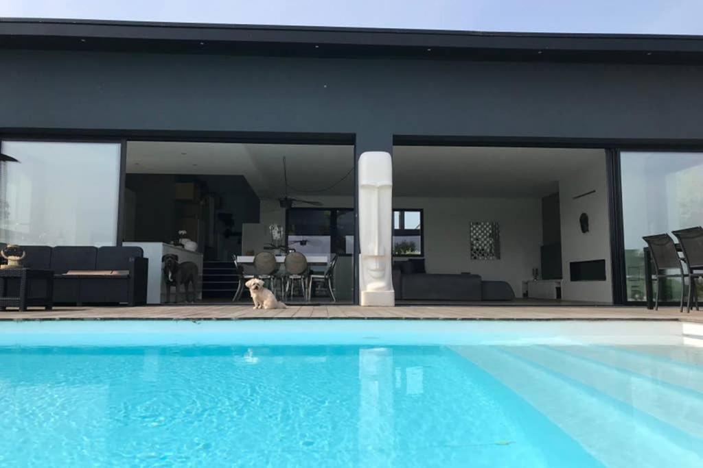 Le Luxury Leilighet Séné Eksteriør bilde